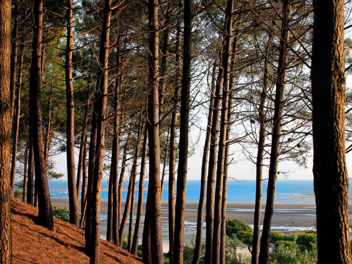 Maison Moderne Pres Plage Aiguillon - 2 Chambres, Terrasse, Jardin, Parking - Calme Et Confort - Fr-1-420-63 Arcachon Luaran gambar